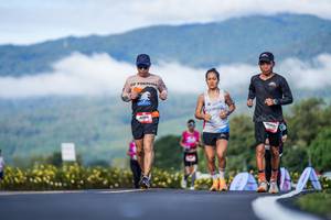 BIB: 
                            <button type="button" onclick="openModal(26542523)" class="btn btn-primary btn-sm float-right btn-popup" data-toggle="modal" data-target=".modal-high-quality">
                        <i class="fas fa-shopping-cart"></i> Add to Cart
                    </button>
                                            <button type="button" onclick="isThisMe(26542523, true)" class="btn btn-success btn-sm float-right btn-popup btn-isme hidden" data-toggle="tooltip" data-placement="bottom" title="นี่คือรูปของคุณใช่ไหม คลิกที่นี่เพื่อเอาเข้าอัลบั้ม">
                        <i class="fas fa-plus"></i> Add to album
                    </button>
                    <button type="button" onclick="isThisMe(26542523, false)" class="btn btn-warning btn-sm float-right btn-popup btn-isnotme hidden">
                        <i class="fas fa-ban"></i> Remove from album
                    </button>